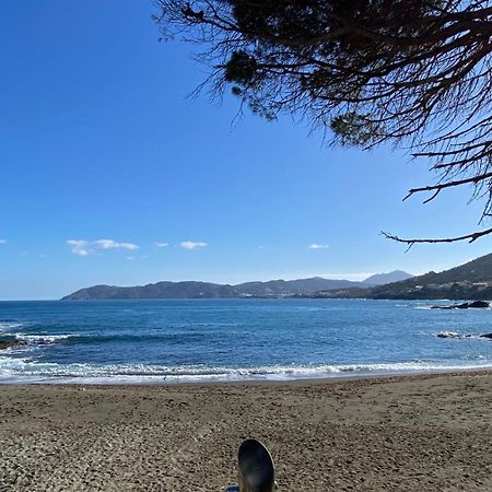 Gran Sol De La Farella Appartement Llança Buitenkant foto